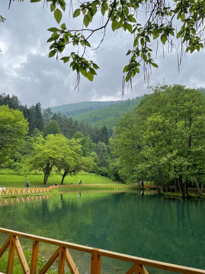 Apartman Magnolia Saraybosna Dış mekan fotoğraf